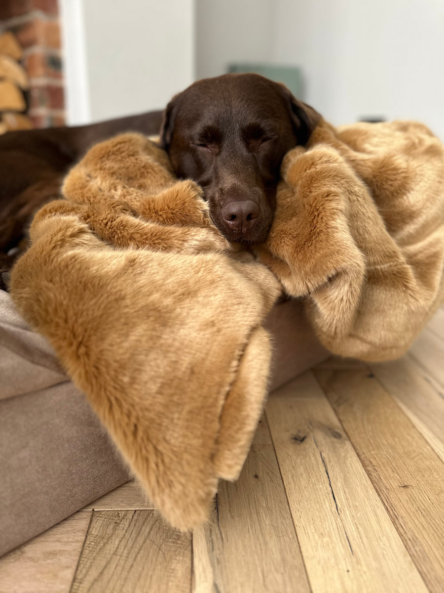 Luxury Faux Fur Dog Blanket Tan Alfie & Lu.