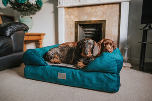The Lounger Bed - Teal/Grey *New Fabrics*