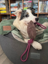 Load image into Gallery viewer, *ECO FRIENDLY* Dog Toys