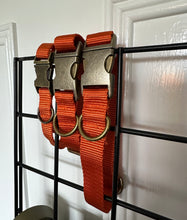 Load image into Gallery viewer, *PRICED TO CLEAR* Classic Collar Collection - Orange