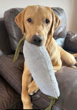 Load image into Gallery viewer, *ECO FRIENDLY* Dog Toys