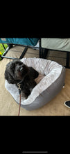Load image into Gallery viewer, *DISPLAY BED* Medium Nest Bed