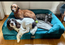 Load image into Gallery viewer, XL TEAL **NO TOPPER**