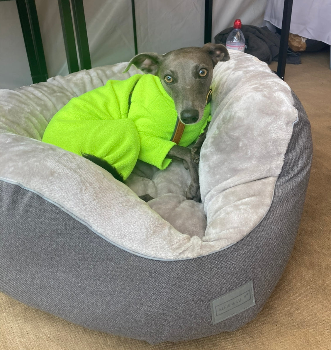 *DISPLAY BED* Medium Nest Bed