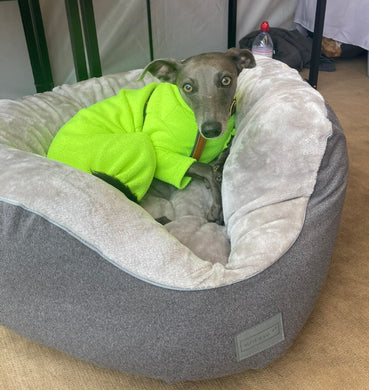 *DISPLAY BED* Medium Nest Bed