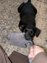 Load image into Gallery viewer, *ECO FRIENDLY* Dog Toys