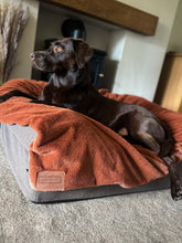 Load image into Gallery viewer, *NEW* Luxury Faux Fur Dog Blanket - Rust