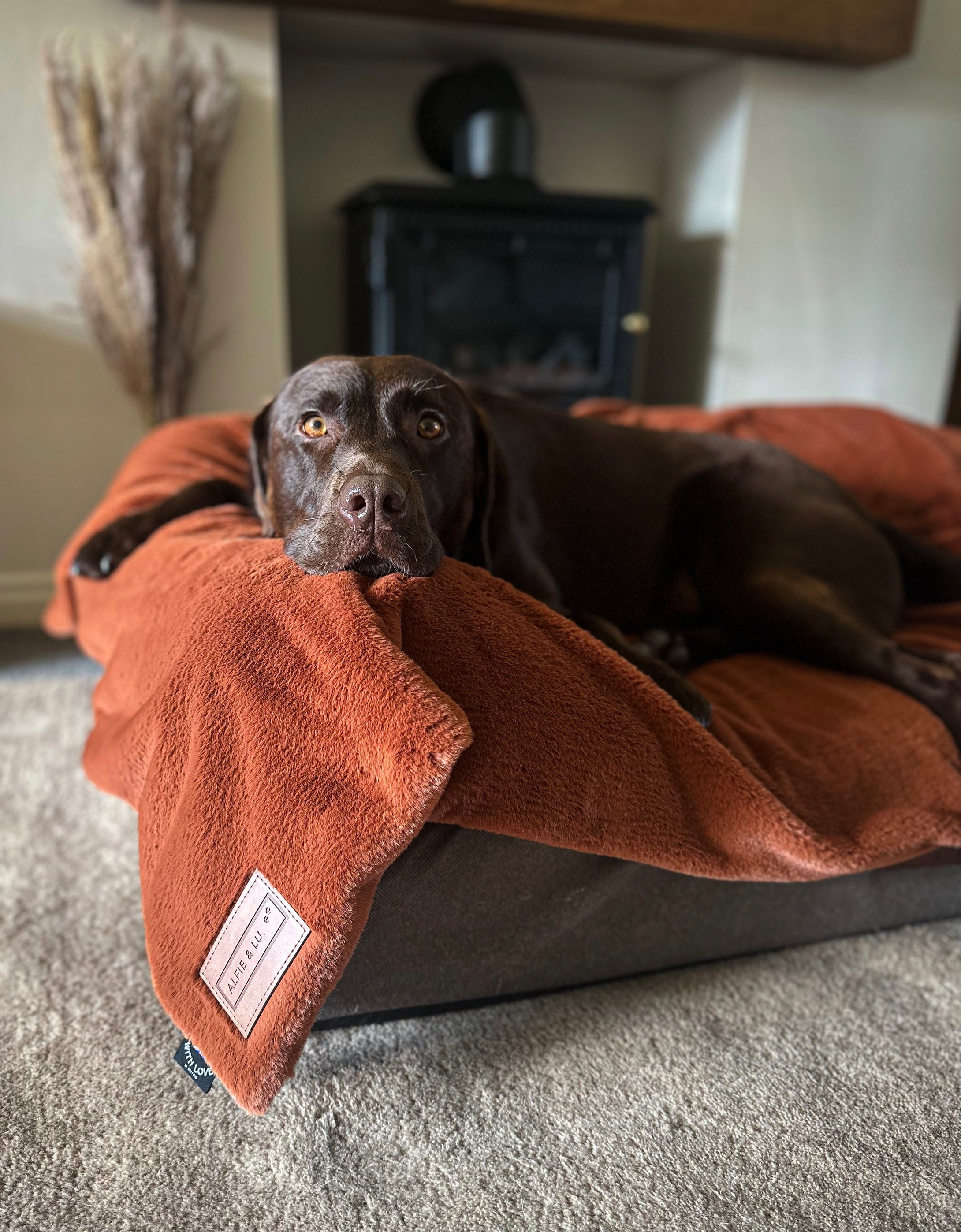 *NEW* Luxury Faux Fur Dog Blanket - Rust