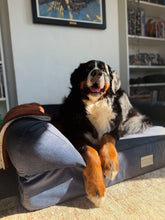 Load image into Gallery viewer, The Lounger Bed - Navy