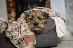 Christmas Blanket - Beige