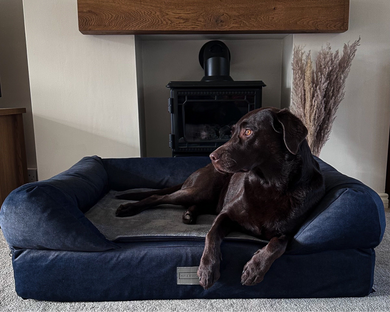 The Lounger Bed - Navy