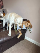Load image into Gallery viewer, *ECO FRIENDLY* Dog Toys