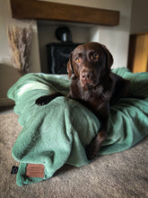 Load image into Gallery viewer, *NEW* Luxury Faux Fur Dog Blanket - Sage
