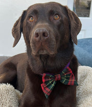Load image into Gallery viewer, Christmas Bow - Tartan