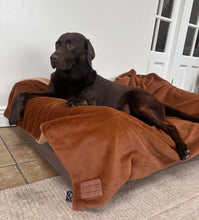 Load image into Gallery viewer, Luxury Faux Fur Dog Blanket - Rust