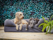 Load image into Gallery viewer, The Lounger Bed - Charcoal/Grey