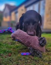 Load image into Gallery viewer, *ECO FRIENDLY* Dog Toys