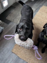 Load image into Gallery viewer, *ECO FRIENDLY* Dog Toys