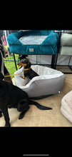 Load image into Gallery viewer, *DISPLAY BED* Medium Nest Bed