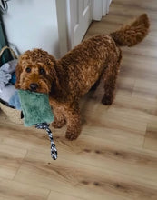 Load image into Gallery viewer, *ECO FRIENDLY* Dog Toys
