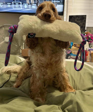 Load image into Gallery viewer, *ECO FRIENDLY* Dog Toys