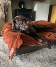 Load image into Gallery viewer, *NEW* Luxury Faux Fur Dog Blanket - Rust