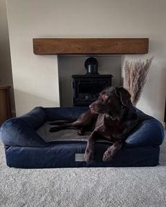 The Lounger Bed - Navy