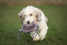 Load image into Gallery viewer, *ECO FRIENDLY* Dog Toys