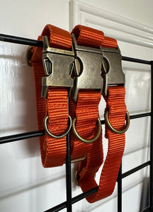 *PRICED TO CLEAR* Classic Collar Collection - Orange