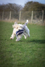 Load image into Gallery viewer, *ECO FRIENDLY* Dog Toys