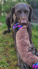 Load image into Gallery viewer, *ECO FRIENDLY* Dog Toys
