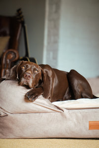 The Lounger Bed - Sandy Beige