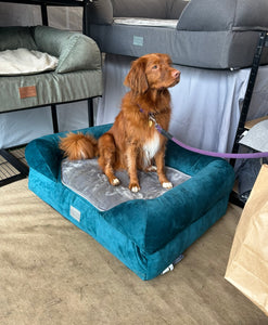 *DISPLAY BED* Medium Teal Fibre
