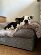Load image into Gallery viewer, Luxury Faux Fur Dog Blanket - Light Grey