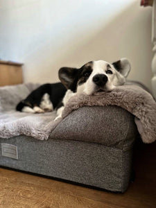 Luxury Faux Fur Dog Blanket - Light Grey