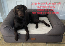 Load image into Gallery viewer, *CLEARANCE* The Lounger Bed - Brown *New Fabrics*
