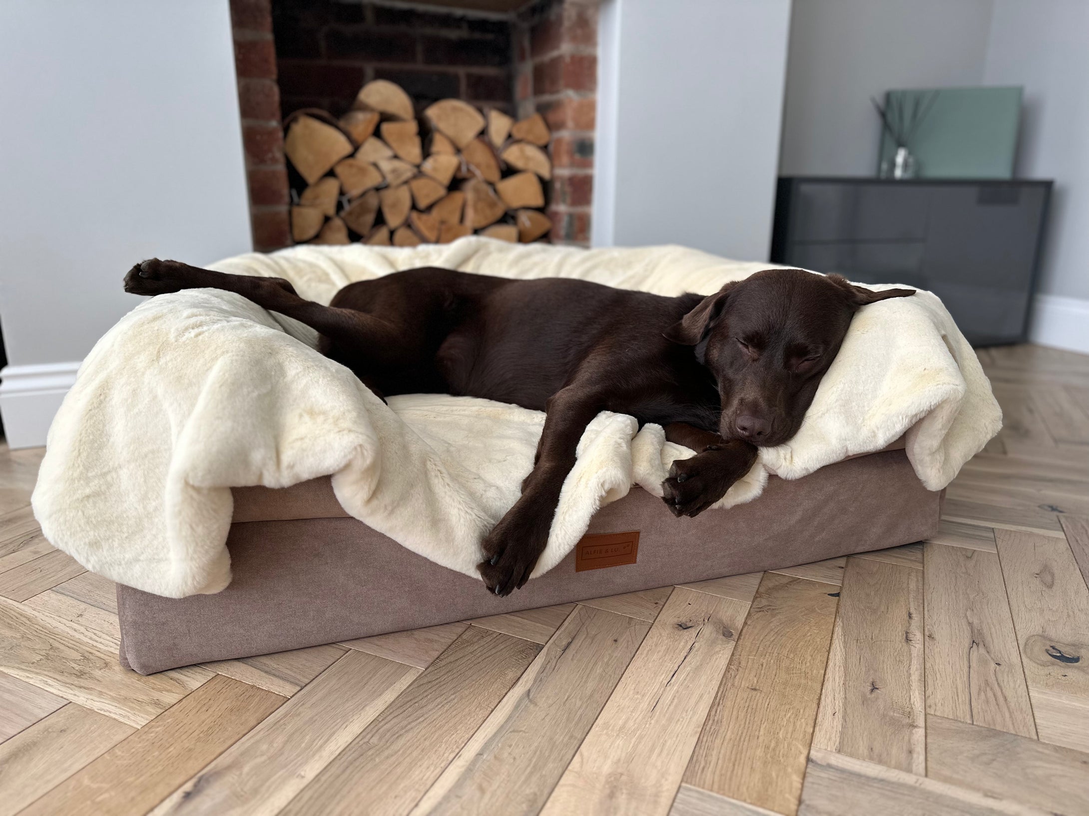 Luxury Faux Fur Dog Blanket - Cream