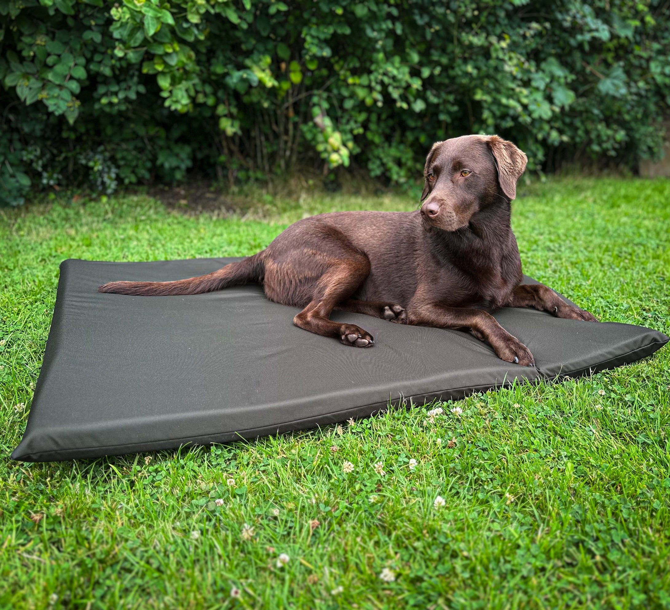 Memory Foam Travel Bed - Water Resistant