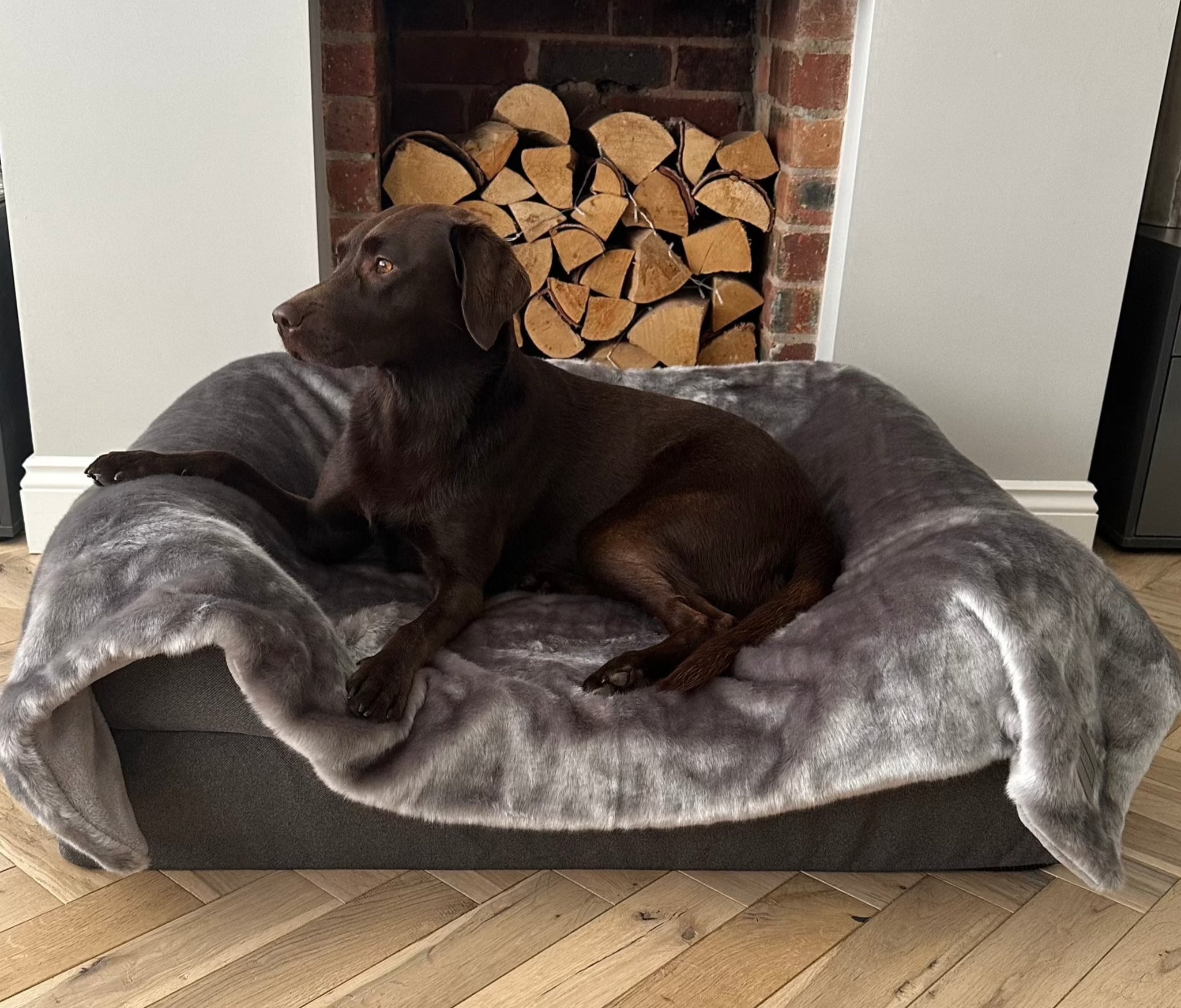 Luxury Faux Fur Dog Blanket Silver Grey Alfie Lu