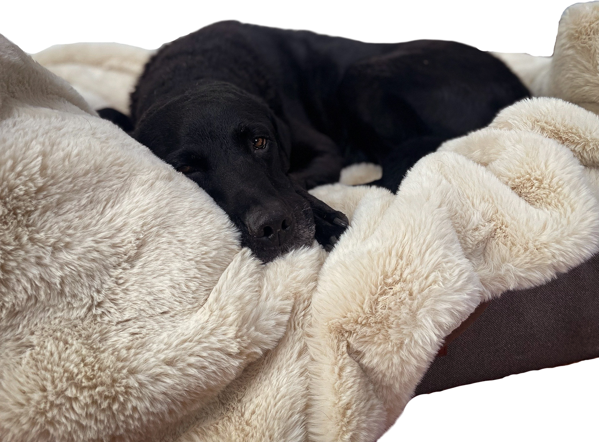 Luxury Faux Fur Dog Blanket Cream Alfie Lu luxury-faux-fur-dog-blanket-cream-alfie-lu