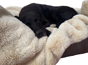 Luxury Faux Fur Dog Blanket - Cream