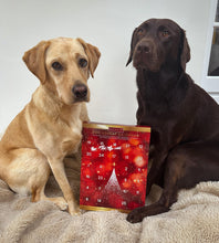 Load image into Gallery viewer, Christmas Dog Advent Calendar
