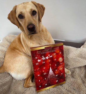 Christmas Dog Advent Calendar