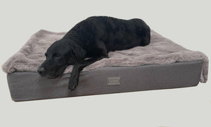The Mattress Bed