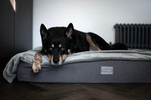 Load image into Gallery viewer, The Mattress Bed