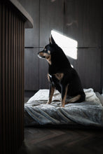 Load image into Gallery viewer, The Mattress Bed