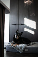 Load image into Gallery viewer, The Mattress Bed