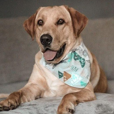 Blue 'Adventure Awaits' Bandana