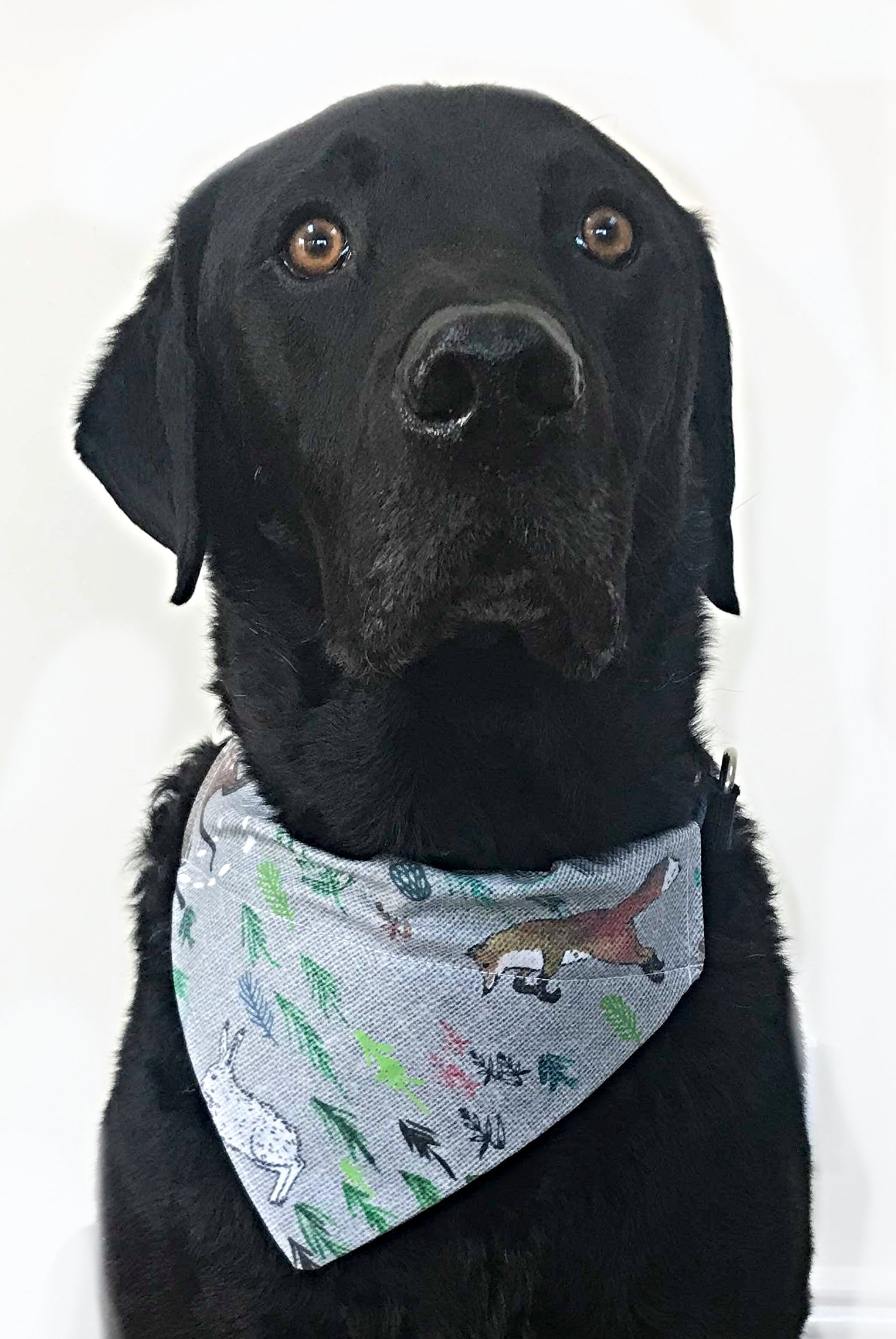 Wildlife in the Woods Bandana