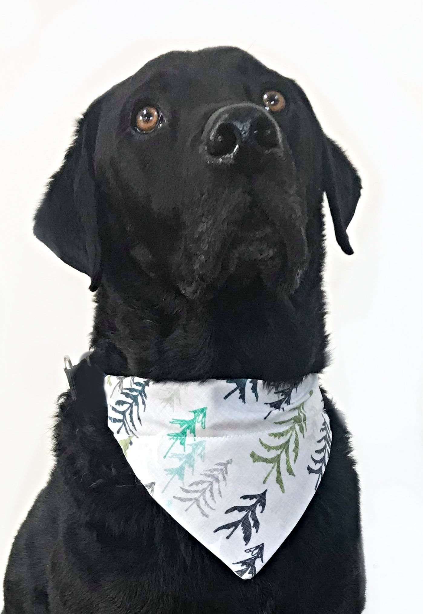 Woodland Bandana